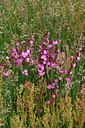 BUITEN BEELD Foto: 130197