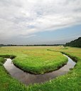 BUITEN BEELD Foto: 130202