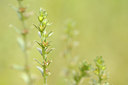 BUITEN BEELD Foto: 130308