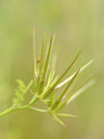 BUITEN BEELD Foto: 130309