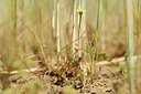 BUITEN BEELD Foto: 130366