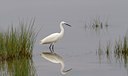 BUITEN BEELD Foto: 130431