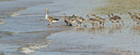 BUITEN BEELD Foto: 130454