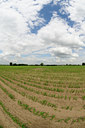 BUITEN BEELD Foto: 130456