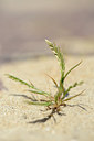 BUITEN BEELD Foto: 130537