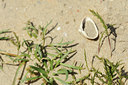 BUITEN BEELD Foto: 130539