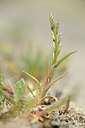 BUITEN BEELD Foto: 130541