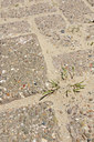 BUITEN BEELD Foto: 130544