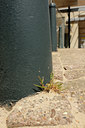 BUITEN BEELD Foto: 130545