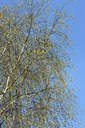 BUITEN BEELD Foto: 130595
