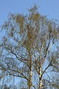 BUITEN BEELD Foto: 130597