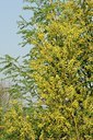 BUITEN BEELD Foto: 130613