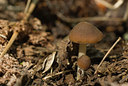 BUITEN BEELD Foto: 130718