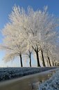BUITEN BEELD Foto: 130842