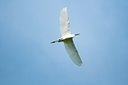 BUITEN BEELD Foto: 130851