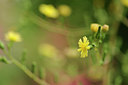 BUITEN BEELD Foto: 130955