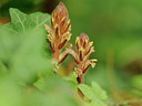 BUITEN BEELD Foto: 130956