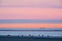 BUITEN BEELD Foto: 131015