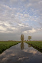 BUITEN BEELD Foto: 131076