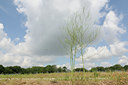 BUITEN BEELD Foto: 131176