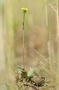 BUITEN BEELD Foto: 131183