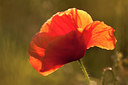 BUITEN BEELD Foto: 131225