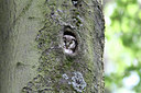 BUITEN BEELD Foto: 131230