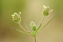 BUITEN BEELD Foto: 131250