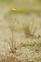 BUITEN BEELD Foto: 131252
