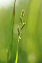 BUITEN BEELD Foto: 131294