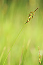 BUITEN BEELD Foto: 131298