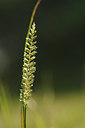 BUITEN BEELD Foto: 131359