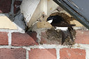 BUITEN BEELD Foto: 131412