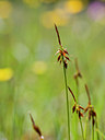 BUITEN BEELD Foto: 131433