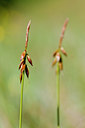 BUITEN BEELD Foto: 131436