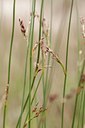 BUITEN BEELD Foto: 131438