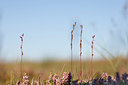 BUITEN BEELD Foto: 131457