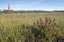 BUITEN BEELD Foto: 131483