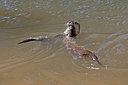 BUITEN BEELD Foto: 131598
