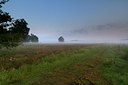 BUITEN BEELD Foto: 131798