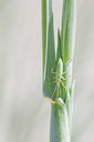 BUITEN BEELD Foto: 131859