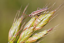BUITEN BEELD Foto: 131866