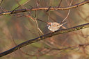 BUITEN BEELD Foto: 131885