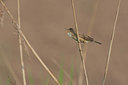 BUITEN BEELD Foto: 131899
