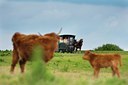 BUITEN BEELD Foto: 132026