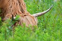 BUITEN BEELD Foto: 132028