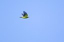 BUITEN BEELD Foto: 132212