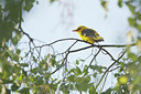 BUITEN BEELD Foto: 132215