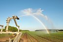BUITEN BEELD Foto: 132256