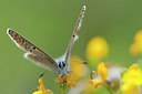 BUITEN BEELD Foto: 132261